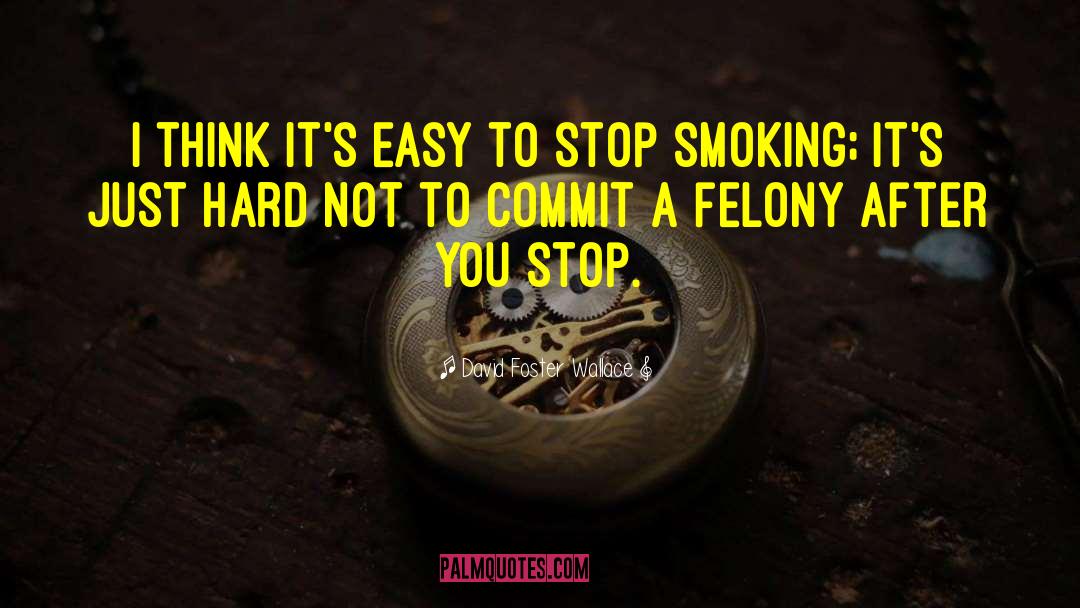 Stop Smoking quotes by David Foster Wallace
