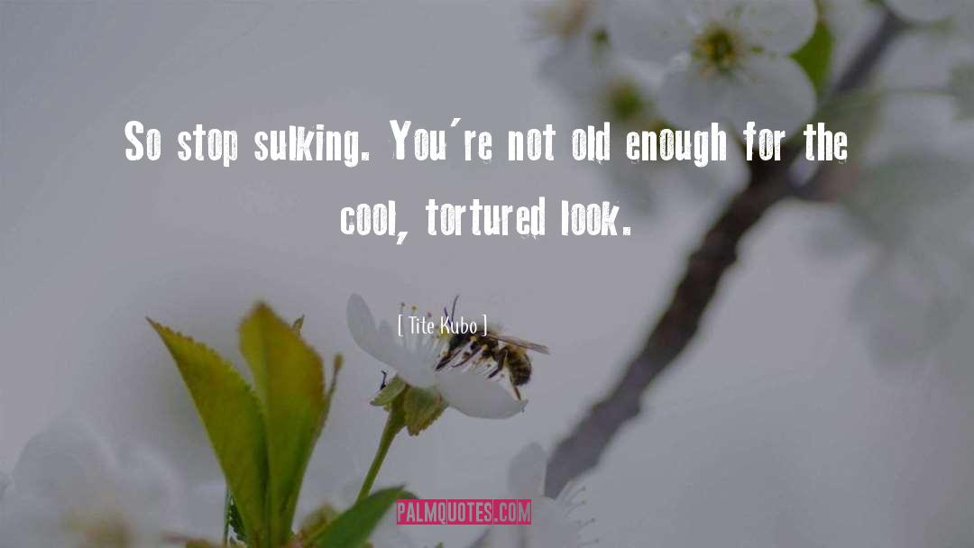 Stop Sulking quotes by Tite Kubo