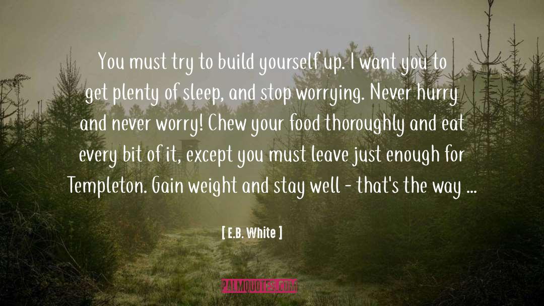 Stop Worrying quotes by E.B. White