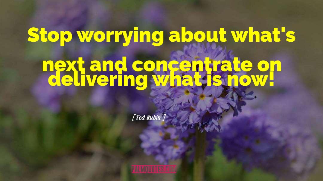 Stop Worrying quotes by Ted Rubin