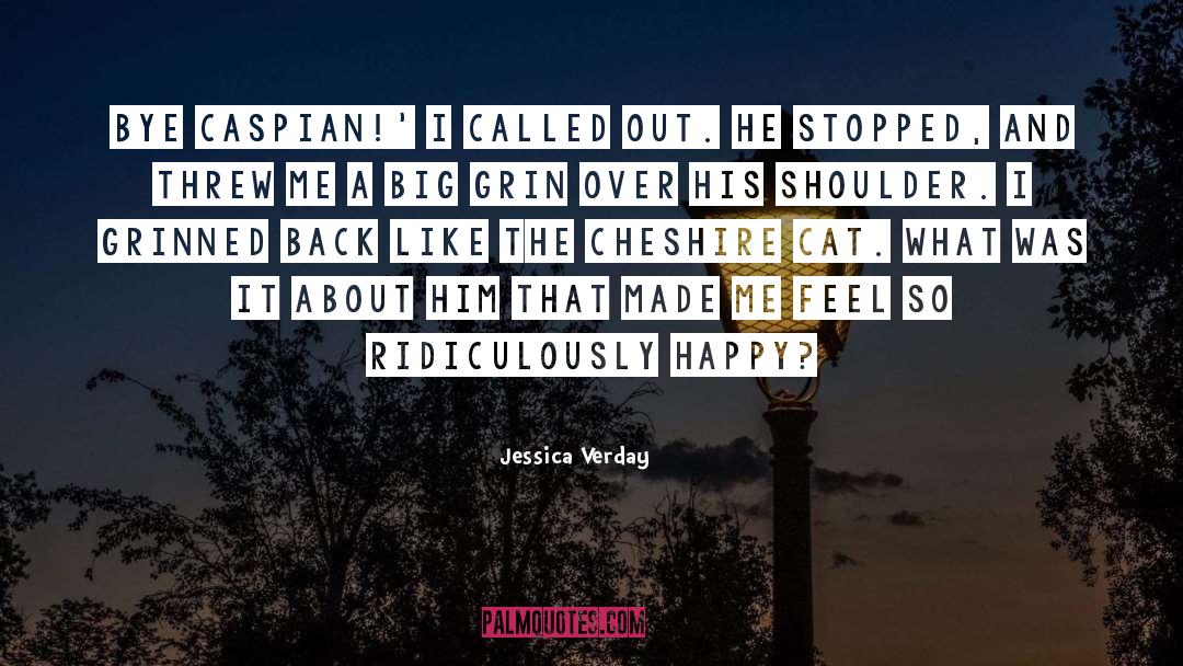 Stopped Caring quotes by Jessica Verday