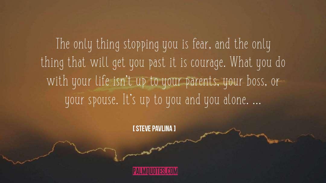 Stopping You quotes by Steve Pavlina