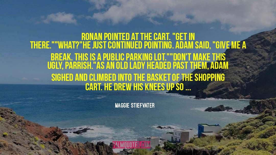 Storchen Parking quotes by Maggie Stiefvater