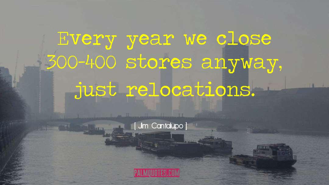 Stores quotes by Jim Cantalupo