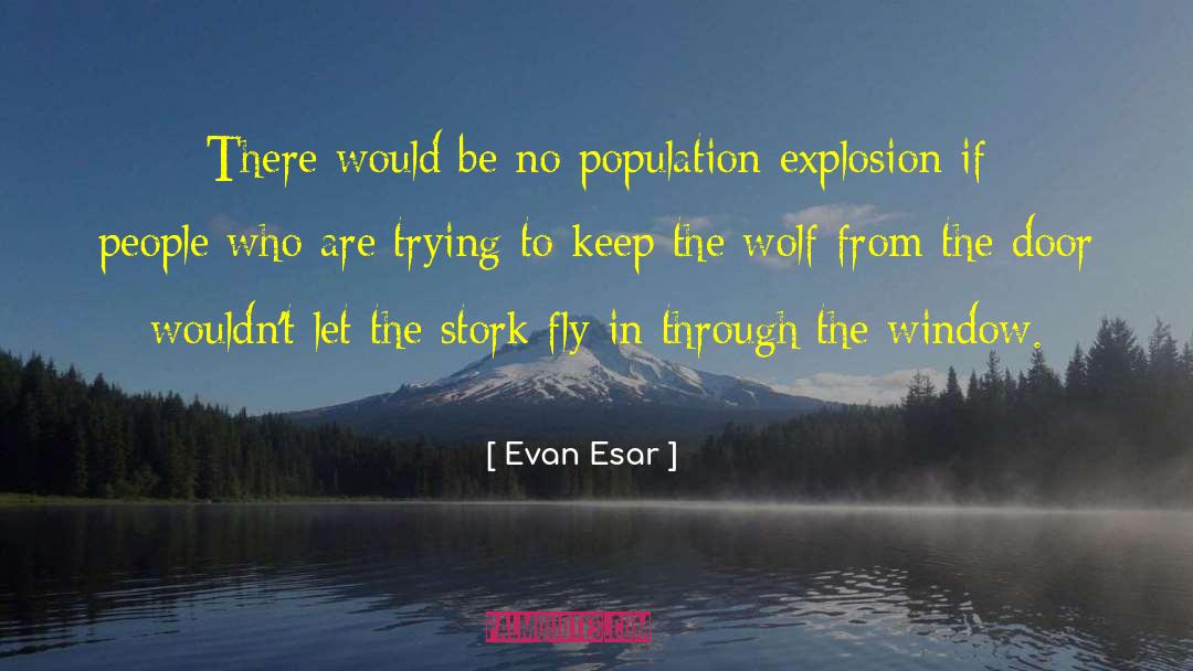 Stork quotes by Evan Esar