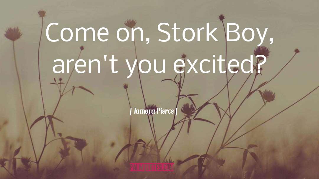 Stork quotes by Tamora Pierce