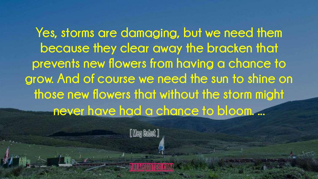 Storm Breathers quotes by Meg Cabot