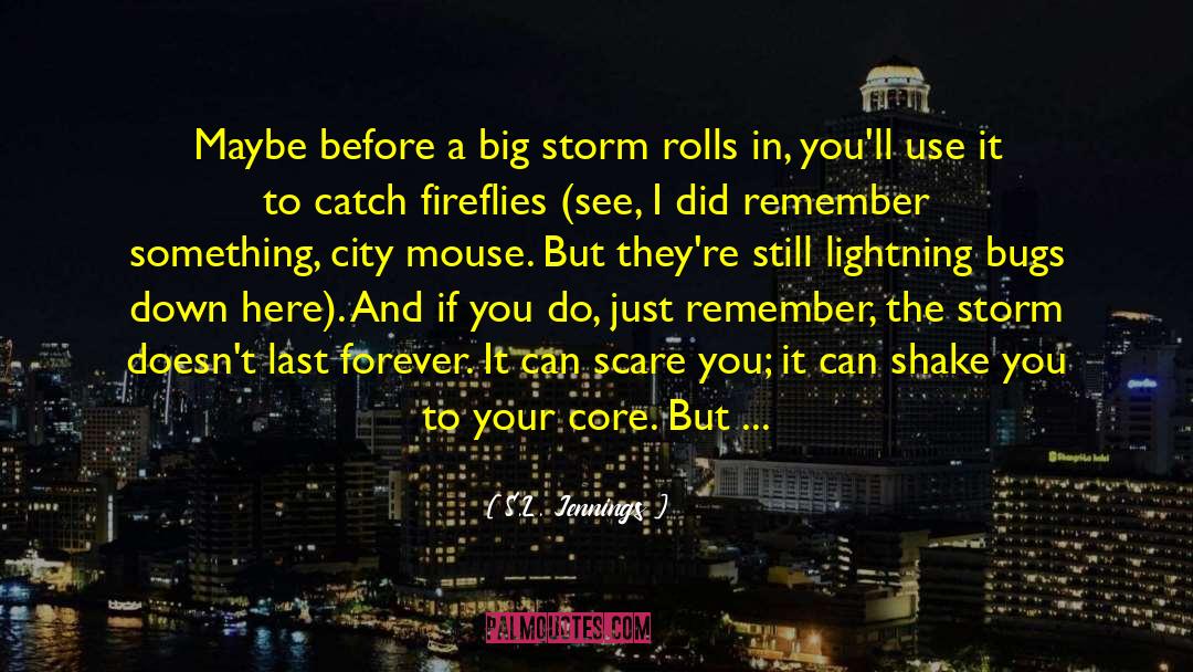 Storm Clouds quotes by S.L. Jennings