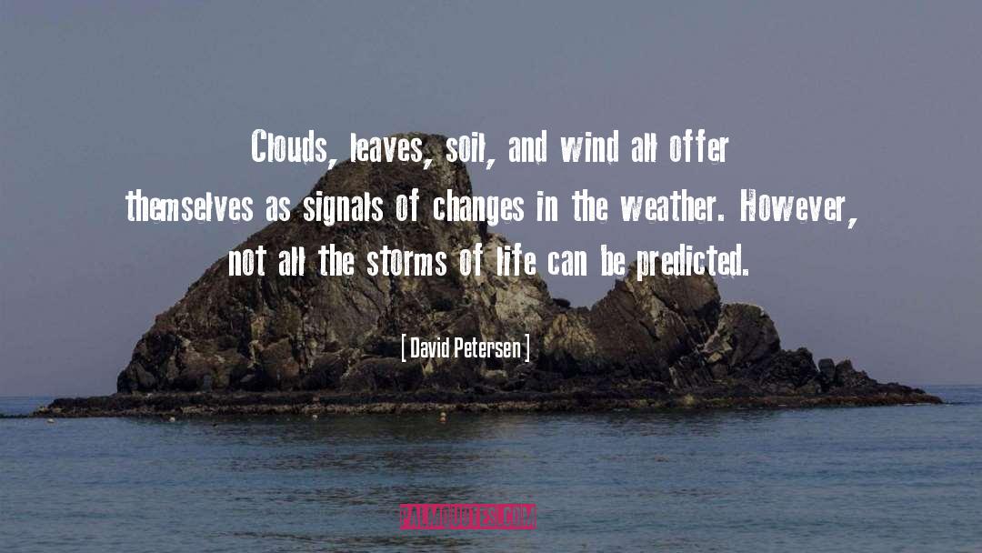 Storm Clouds quotes by David Petersen