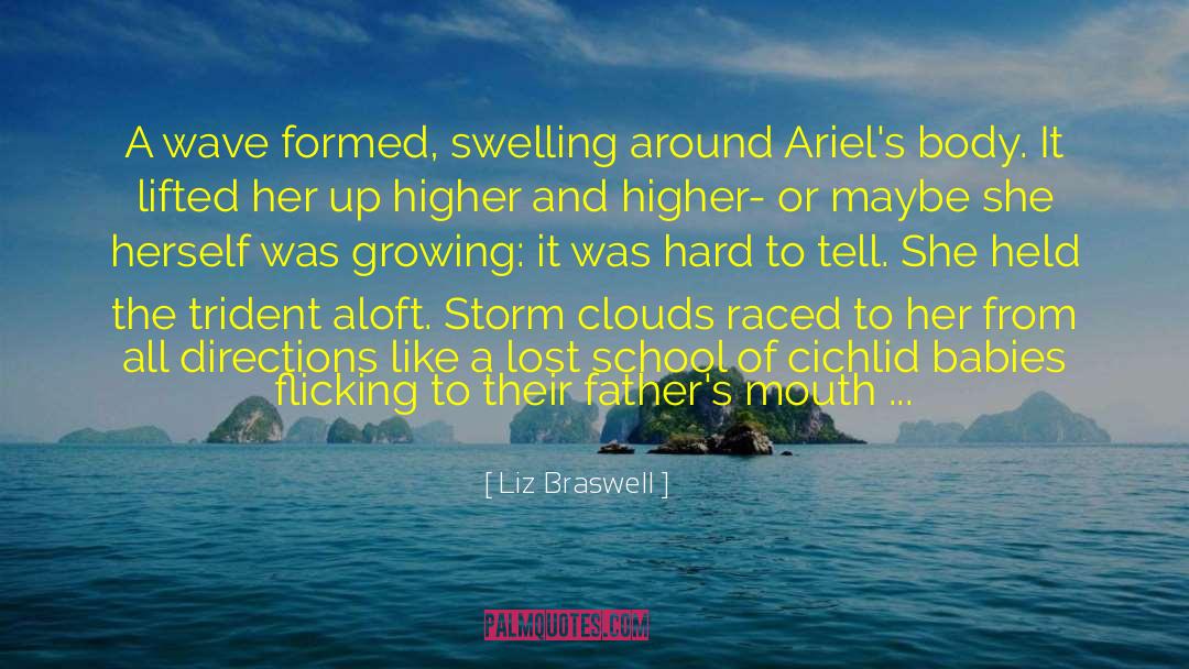 Storm Clouds quotes by Liz Braswell