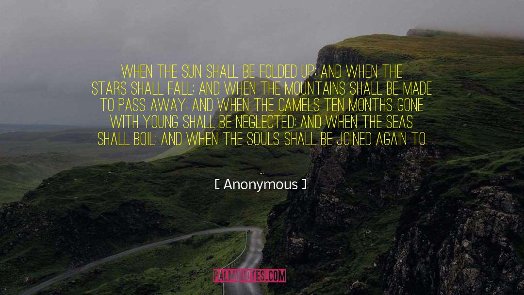 Storm Shall Pass quotes by Anonymous