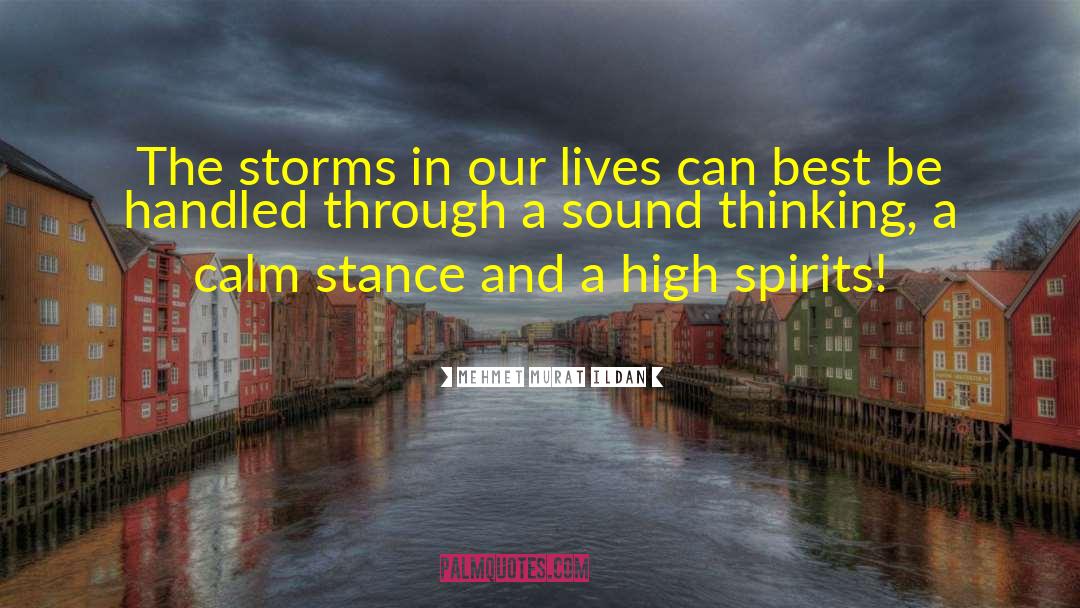 Storms Of Life quotes by Mehmet Murat Ildan