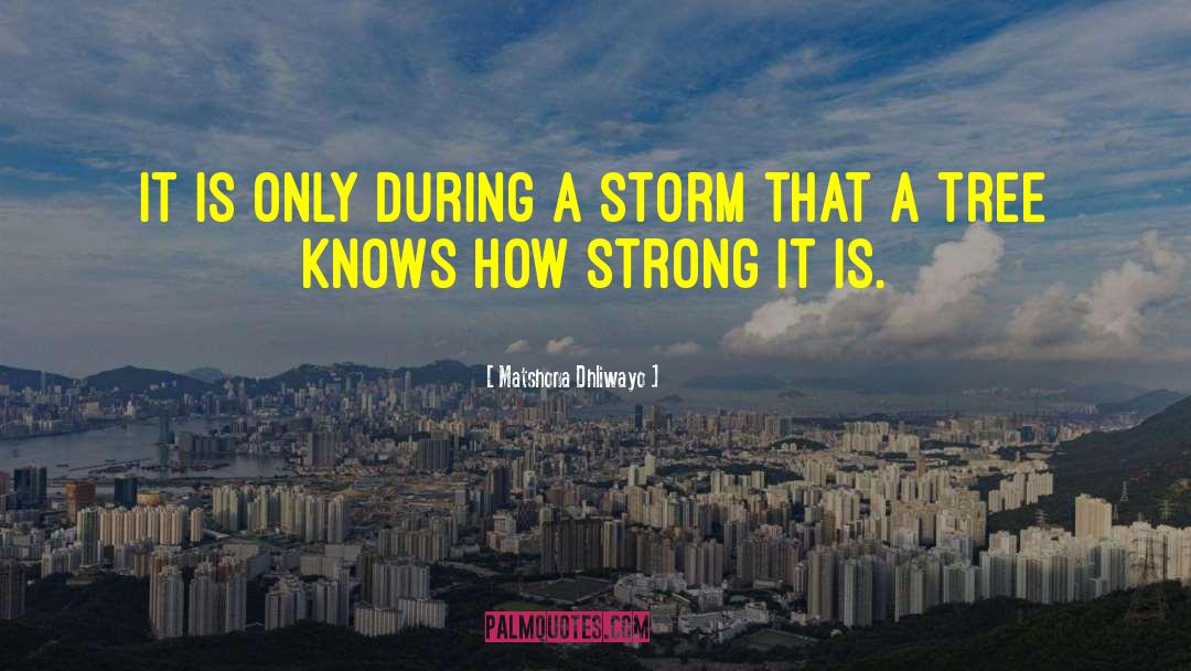 Storms Of Life quotes by Matshona Dhliwayo