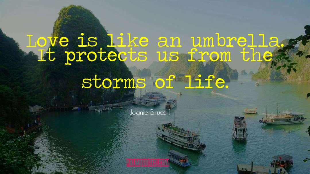 Storms Of Life quotes by Joanie Bruce