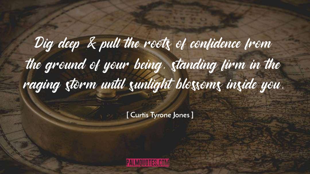 Storms quotes by Curtis Tyrone Jones