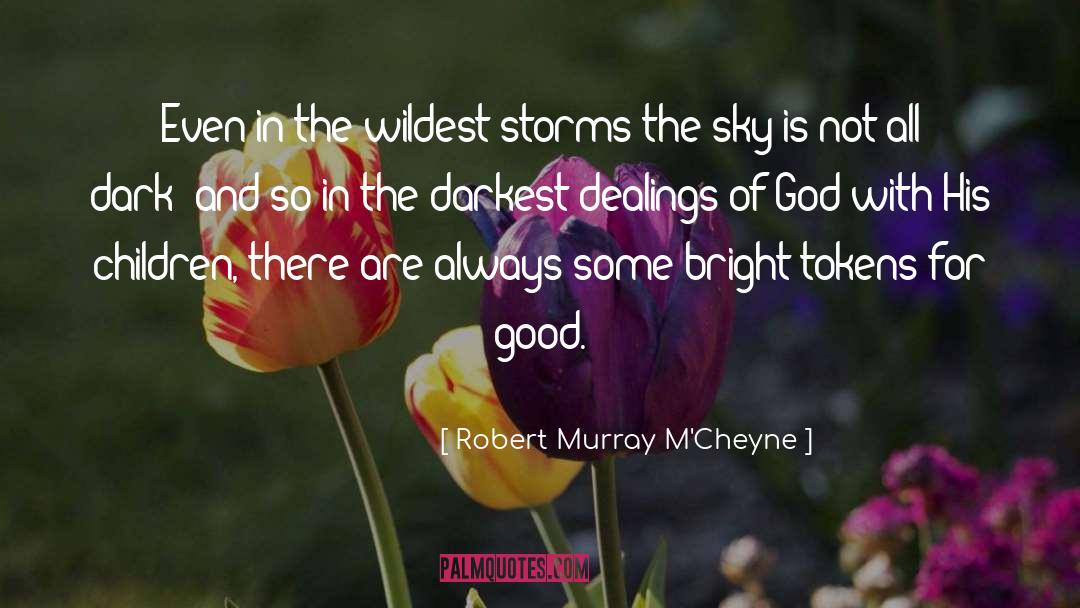 Storms quotes by Robert Murray M'Cheyne