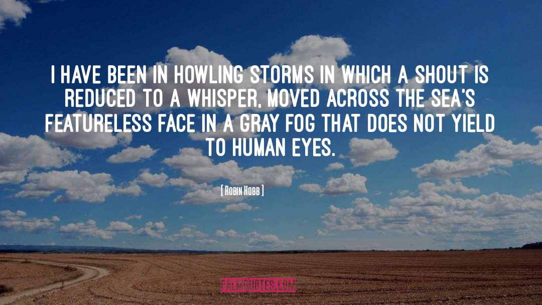 Storms quotes by Robin Hobb