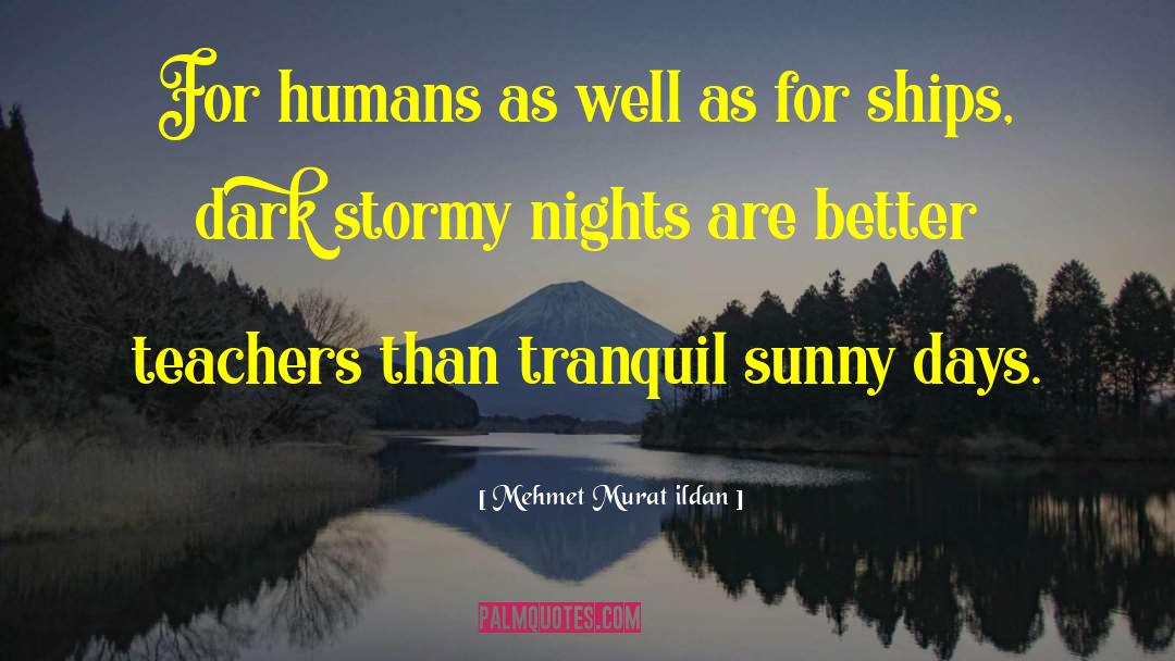 Stormy Nights quotes by Mehmet Murat Ildan