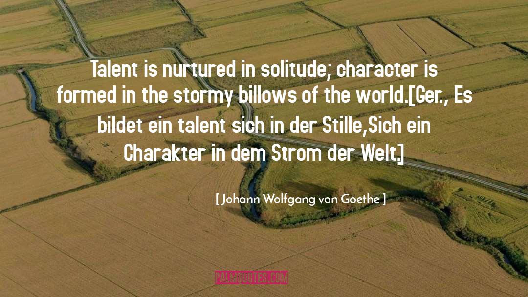 Stormy quotes by Johann Wolfgang Von Goethe
