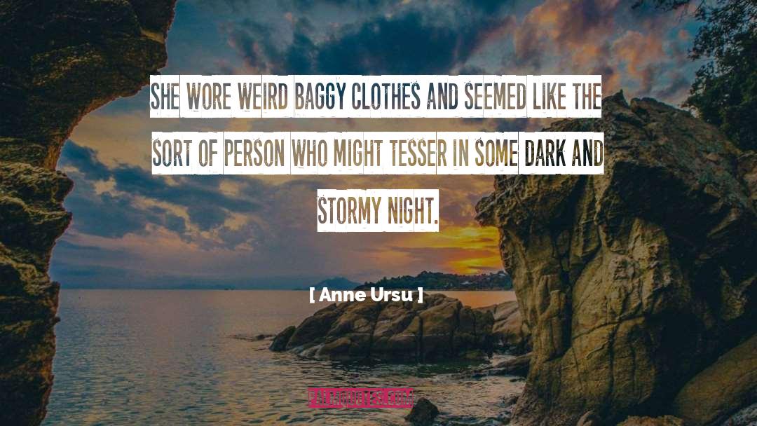 Stormy quotes by Anne Ursu