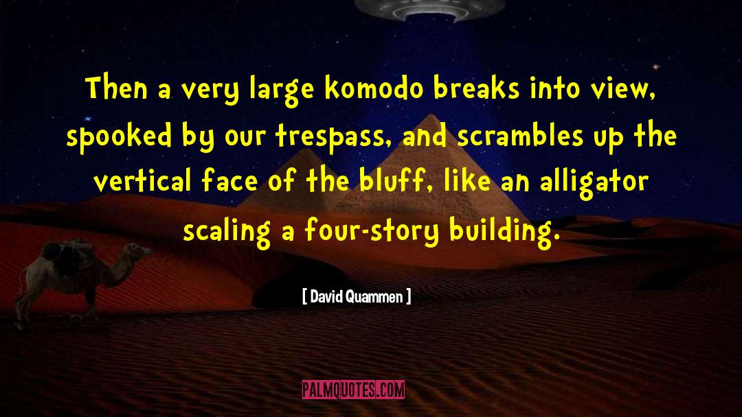 Story Building quotes by David Quammen