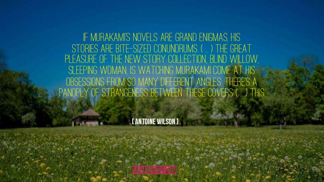 Story Collection quotes by Antoine Wilson
