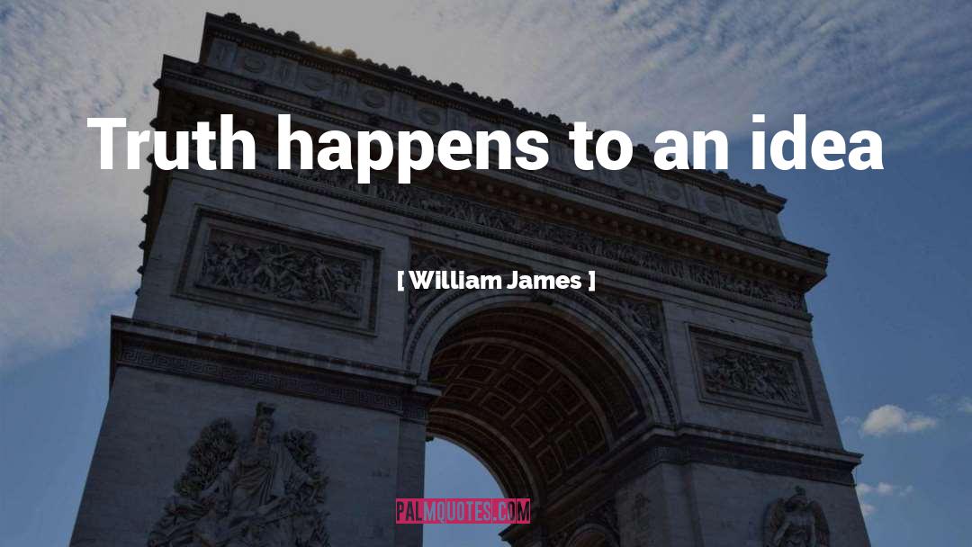 Story Ideas quotes by William James
