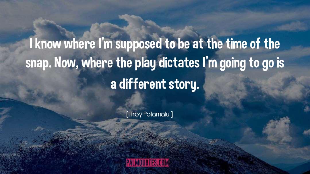 Story Makers quotes by Troy Polamalu