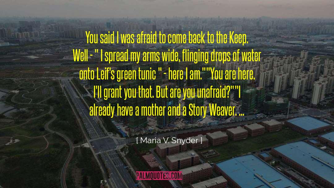 Story Weaver quotes by Maria V. Snyder