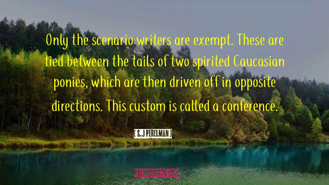 Story Writers quotes by S.J Perelman