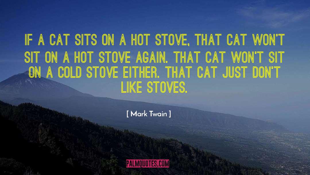Stoves quotes by Mark Twain