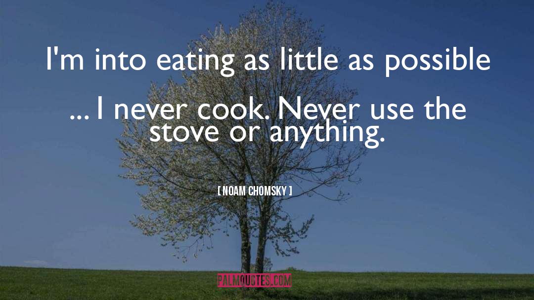 Stoves quotes by Noam Chomsky