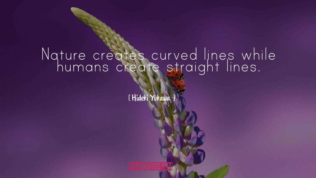 Straight Lines quotes by Hideki Yukawa