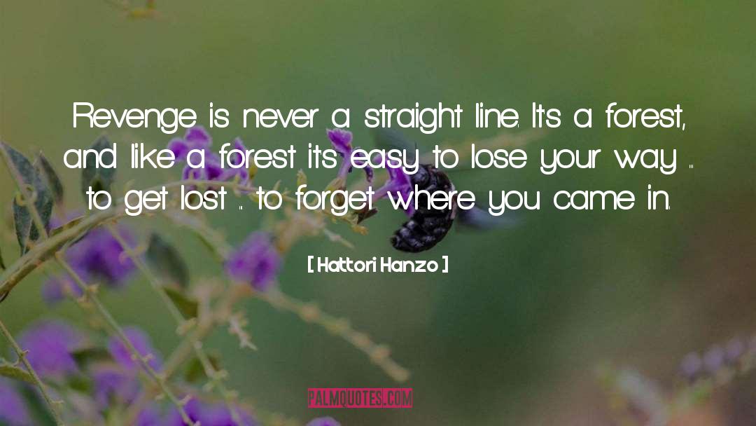 Straight Lines quotes by Hattori Hanzo