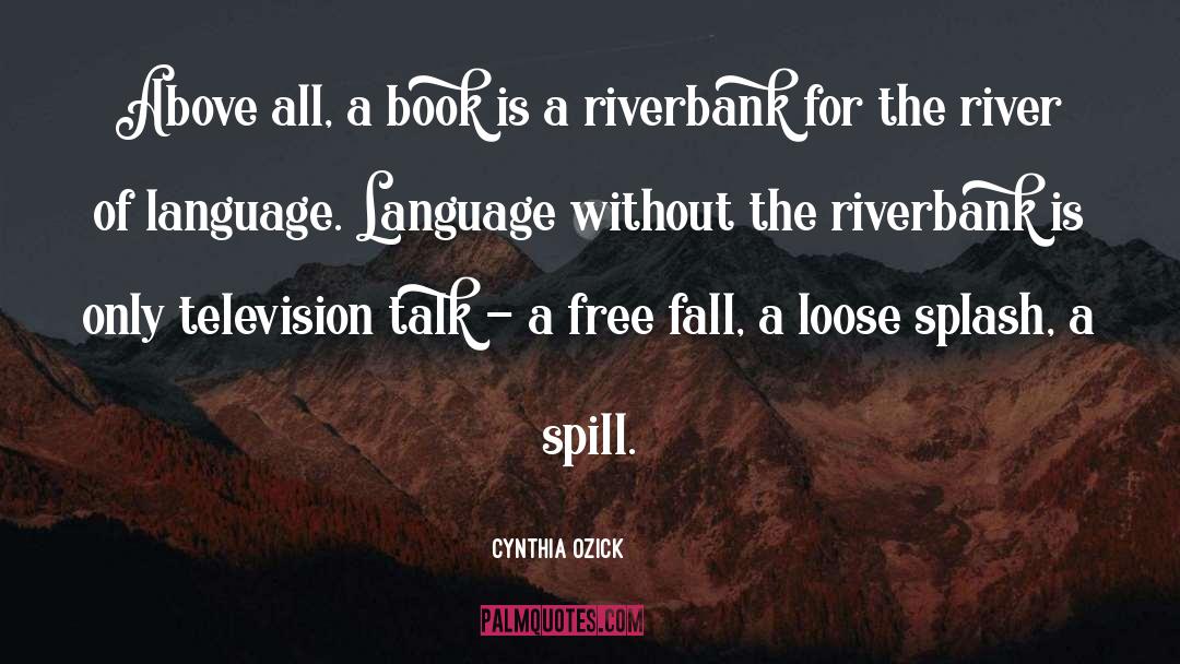 Straight Talk quotes by Cynthia Ozick