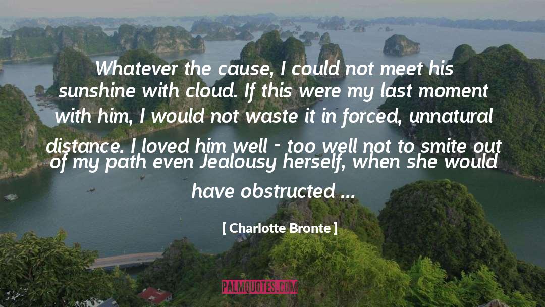 Strait Of Magellan quotes by Charlotte Bronte