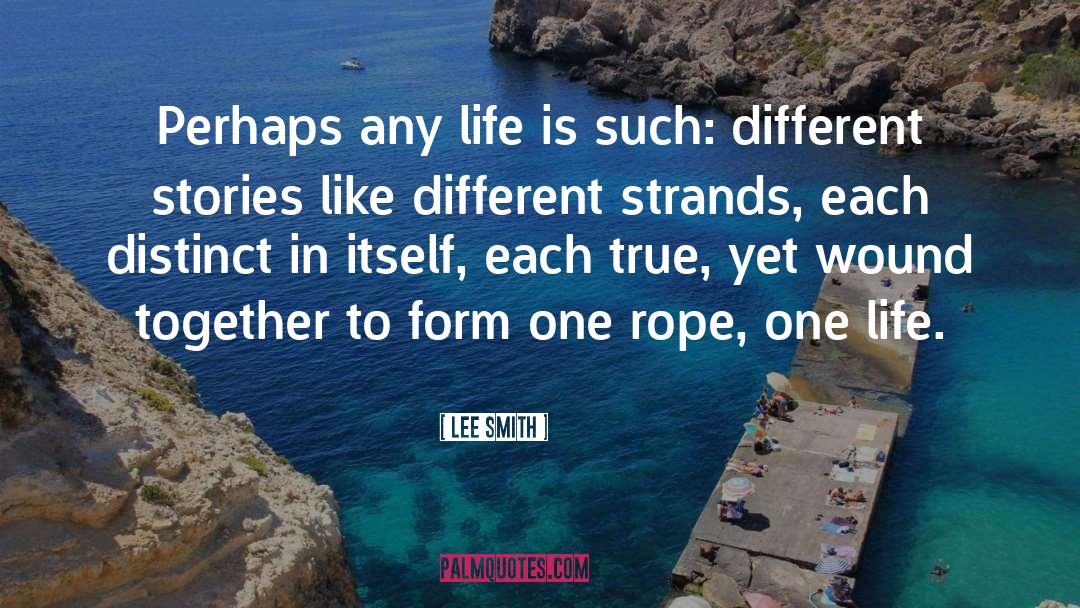 Strands Bermuda quotes by Lee Smith