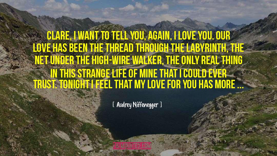 Strange Life quotes by Audrey Niffenegger