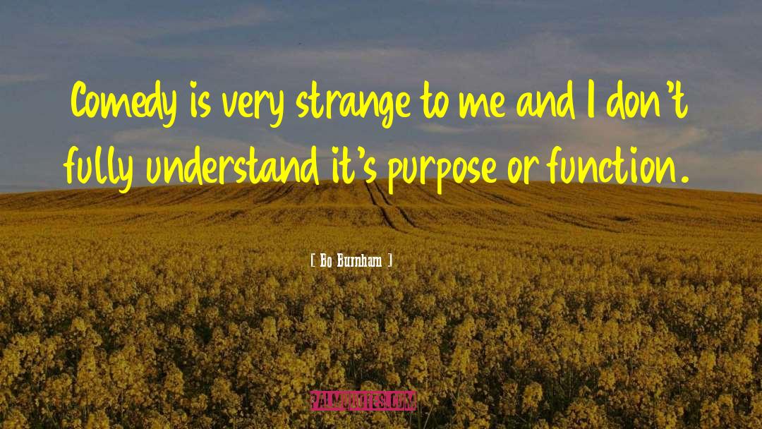 Strange Loop quotes by Bo Burnham
