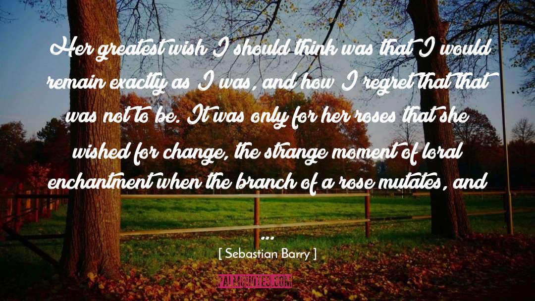 Strange Moment quotes by Sebastian Barry