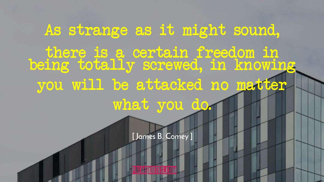 Strange Stories quotes by James B. Comey