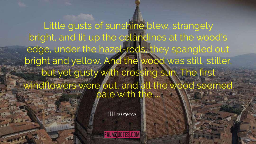 Strangely Beautiful Series quotes by D.H. Lawrence