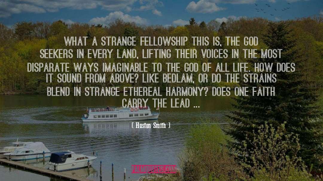 Stranger In A Strange Land quotes by Huston Smith