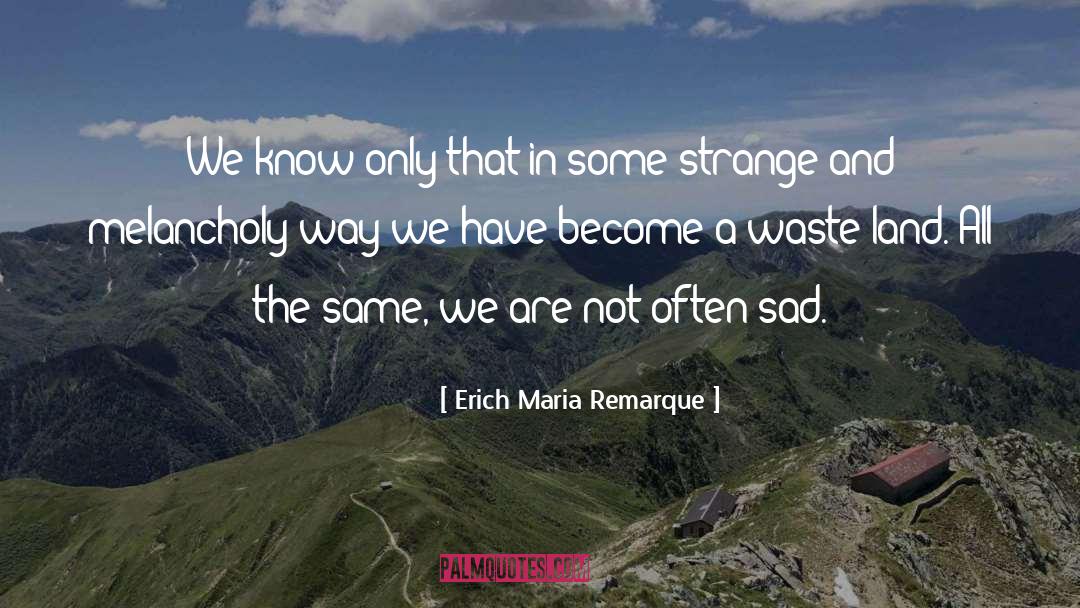 Stranger In A Strange Land quotes by Erich Maria Remarque