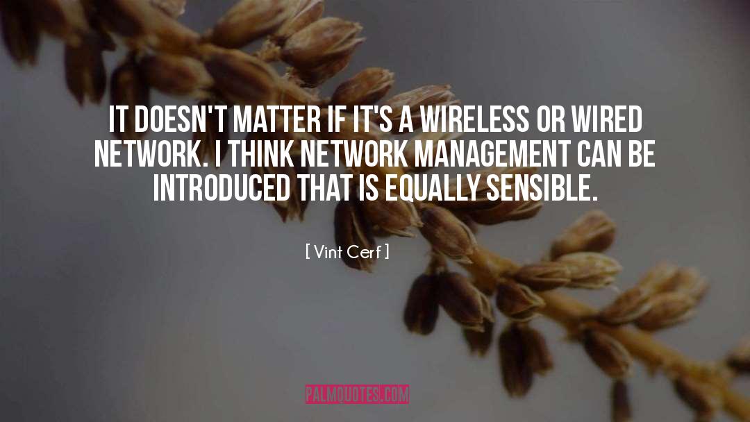 Strategic Management quotes by Vint Cerf