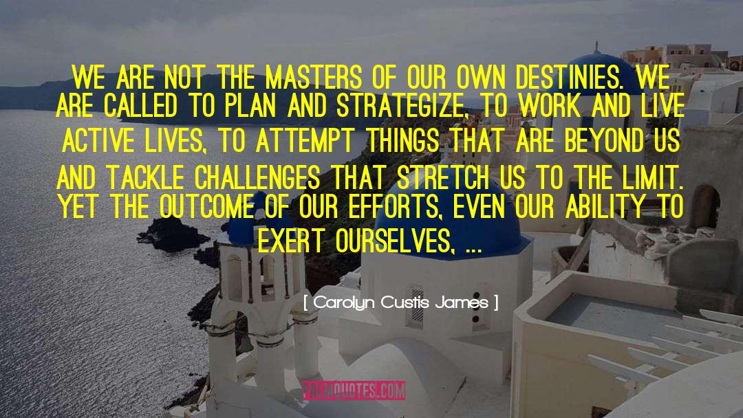 Strategize quotes by Carolyn Custis James