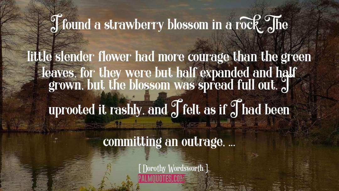 Strawberries quotes by Dorothy Wordsworth