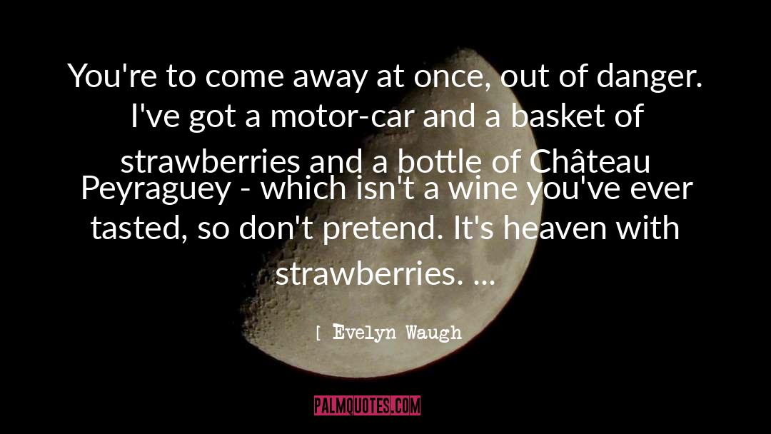 Strawberries quotes by Evelyn Waugh