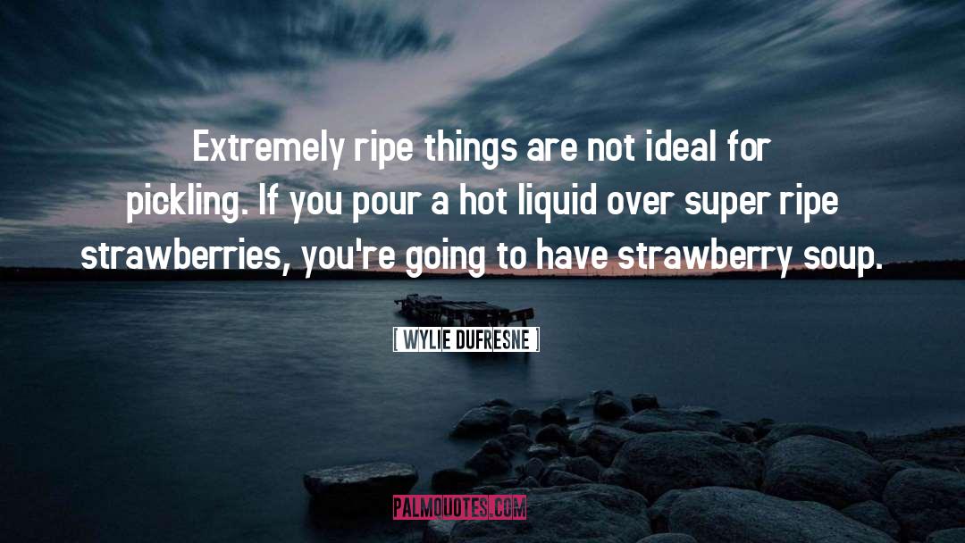 Strawberry quotes by Wylie Dufresne
