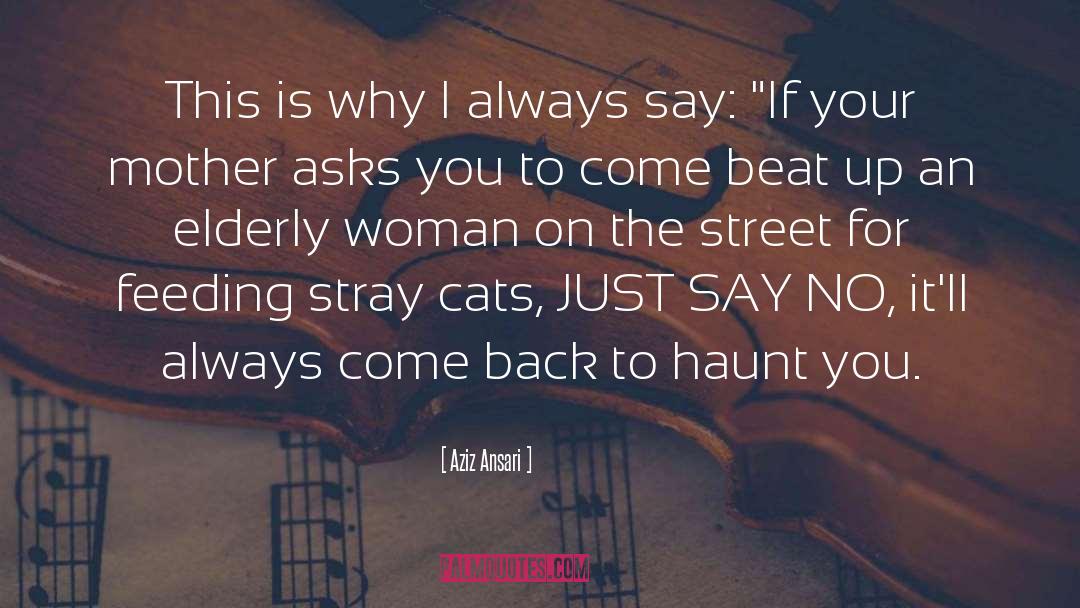 Stray Cats quotes by Aziz Ansari